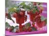 Small Bouquets of Raspberries and Redcurrants-Friedrich Strauss-Mounted Photographic Print