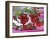 Small Bouquets of Raspberries and Redcurrants-Friedrich Strauss-Framed Photographic Print