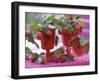 Small Bouquets of Raspberries and Redcurrants-Friedrich Strauss-Framed Photographic Print