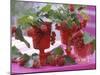 Small Bouquets of Raspberries and Redcurrants-Friedrich Strauss-Mounted Photographic Print