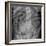 Small Bowel Obstruction, X-ray-Du Cane Medical-Framed Photographic Print