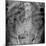 Small Bowel Obstruction, X-ray-Du Cane Medical-Mounted Photographic Print