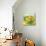 Small Bowl of Fruit I-Ethan Harper-Stretched Canvas displayed on a wall