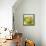 Small Bowl of Fruit I-Ethan Harper-Framed Stretched Canvas displayed on a wall