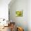 Small Bowl of Fruit I-Ethan Harper-Mounted Art Print displayed on a wall