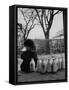 Small Boy Helping Himself to Milk-Gordon Parks-Framed Stretched Canvas