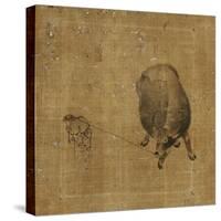 Small Boy Struggling to Lead a Waterbuffalo-null-Stretched Canvas