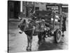 Small Boy Waits Patiently on a Donkey Cart in the Market Place at Kildare Co Kildare Ireland-null-Stretched Canvas