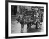 Small Boy Waits Patiently on a Donkey Cart in the Market Place at Kildare Co Kildare Ireland-null-Framed Photographic Print