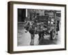 Small Boy Waits Patiently on a Donkey Cart in the Market Place at Kildare Co Kildare Ireland-null-Framed Photographic Print