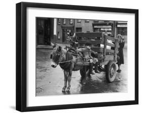 Small Boy Waits Patiently on a Donkey Cart in the Market Place at Kildare Co Kildare Ireland-null-Framed Photographic Print