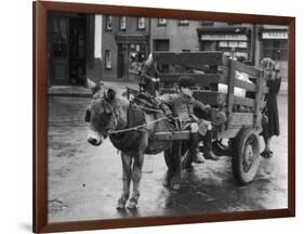 Small Boy Waits Patiently on a Donkey Cart in the Market Place at Kildare Co Kildare Ireland-null-Framed Photographic Print