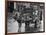 Small Boy Waits Patiently on a Donkey Cart in the Market Place at Kildare Co Kildare Ireland-null-Framed Photographic Print