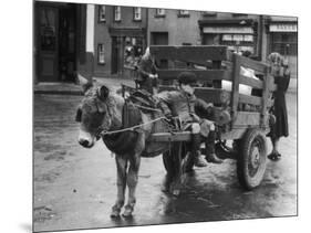 Small Boy Waits Patiently on a Donkey Cart in the Market Place at Kildare Co Kildare Ireland-null-Mounted Photographic Print