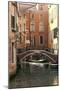 Small Bridge over a Side Canal in Venice, Italy-David Noyes-Mounted Premium Photographic Print