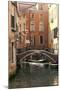 Small Bridge over a Side Canal in Venice, Italy-David Noyes-Mounted Premium Photographic Print