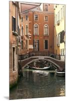 Small Bridge over a Side Canal in Venice, Italy-David Noyes-Mounted Premium Photographic Print