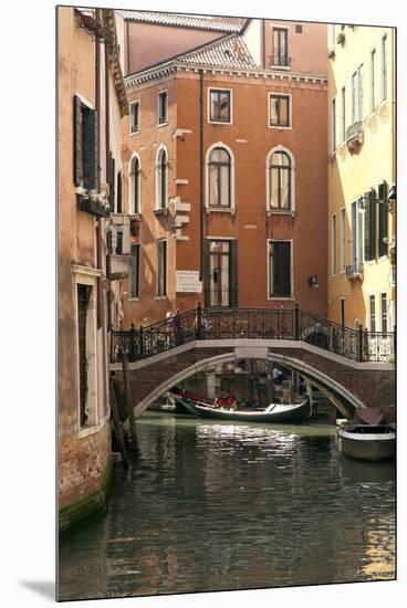 Small Bridge over a Side Canal in Venice, Italy-David Noyes-Mounted Premium Photographic Print