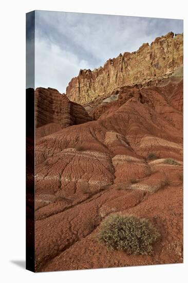 Small Bush in the Wash Near a Sandstone Butte-James Hager-Stretched Canvas