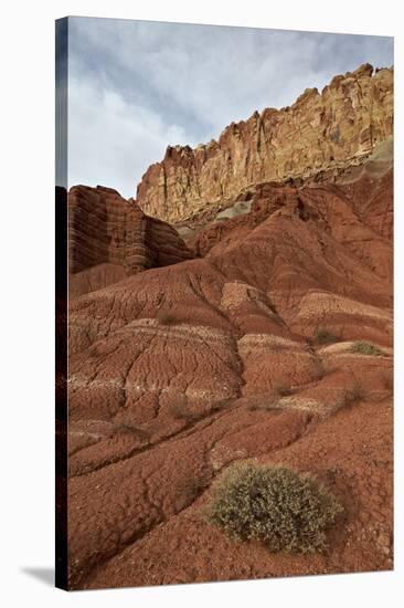 Small Bush in the Wash Near a Sandstone Butte-James Hager-Stretched Canvas