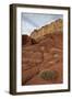 Small Bush in the Wash Near a Sandstone Butte-James Hager-Framed Photographic Print