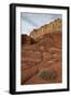 Small Bush in the Wash Near a Sandstone Butte-James Hager-Framed Photographic Print