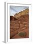 Small Bush in the Wash Near a Sandstone Butte-James Hager-Framed Photographic Print