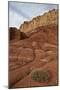 Small Bush in the Wash Near a Sandstone Butte-James Hager-Mounted Photographic Print