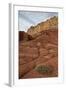 Small Bush in the Wash Near a Sandstone Butte-James Hager-Framed Photographic Print