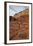 Small Bush in the Wash Near a Sandstone Butte-James Hager-Framed Photographic Print