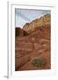 Small Bush in the Wash Near a Sandstone Butte-James Hager-Framed Photographic Print