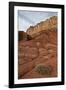 Small Bush in the Wash Near a Sandstone Butte-James Hager-Framed Photographic Print