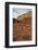 Small Bush in the Wash Near a Sandstone Butte-James Hager-Framed Photographic Print