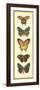 Small Butterfly Collector V-Chariklia Zarris-Framed Art Print