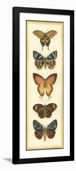 Small Butterfly Collector V-Chariklia Zarris-Framed Art Print