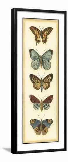 Small Butterfly Collector VI-Chariklia Zarris-Framed Art Print