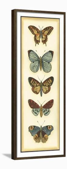 Small Butterfly Collector VI-Chariklia Zarris-Framed Art Print