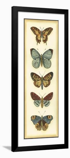 Small Butterfly Collector VI-Chariklia Zarris-Framed Art Print