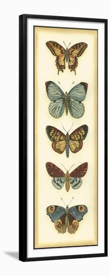 Small Butterfly Collector VI-Chariklia Zarris-Framed Art Print