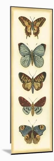 Small Butterfly Collector VI-Chariklia Zarris-Mounted Art Print