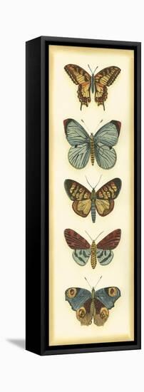 Small Butterfly Collector VI-Chariklia Zarris-Framed Stretched Canvas