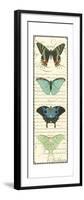 Small Butterfly Prose Panel II-Vision Studio-Framed Art Print