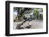 Small Cannon in the Courtyard, James Fort, St. Johns, Antigua, Leeward Islands, West Indies-Roberto Moiola-Framed Photographic Print