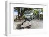 Small Cannon in the Courtyard, James Fort, St. Johns, Antigua, Leeward Islands, West Indies-Roberto Moiola-Framed Photographic Print