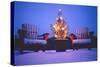 Small Christmas Tree Outdoors-Jim Craigmyle-Stretched Canvas