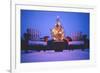 Small Christmas Tree Outdoors-Jim Craigmyle-Framed Photographic Print