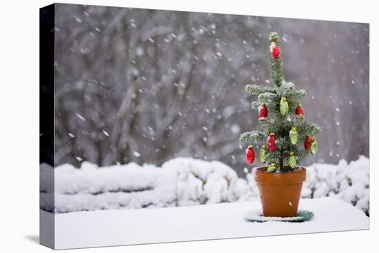 Small Christmas Tree-null-Stretched Canvas