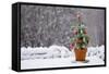 Small Christmas Tree-null-Framed Stretched Canvas