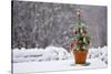 Small Christmas Tree-null-Stretched Canvas