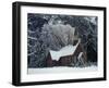 Small Church in Snow-null-Framed Premium Photographic Print